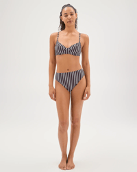 Navy Cinnabar Stripe