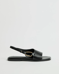 Black / Gold