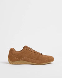 Chestnut