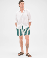 Green Stripe