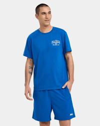 Classic Blue