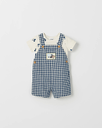 Mickey Navy