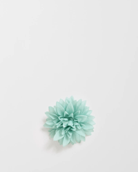 Aqua