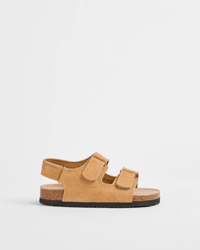 Chestnut
