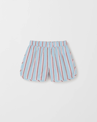 Blue/Brown Stripe