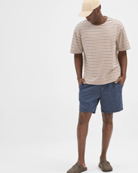 Brown Stripe