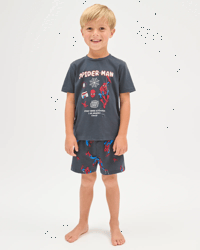 Spiderman Blue