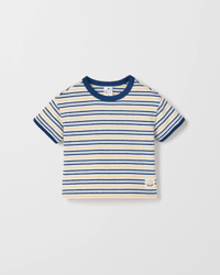 Blue / Stripe