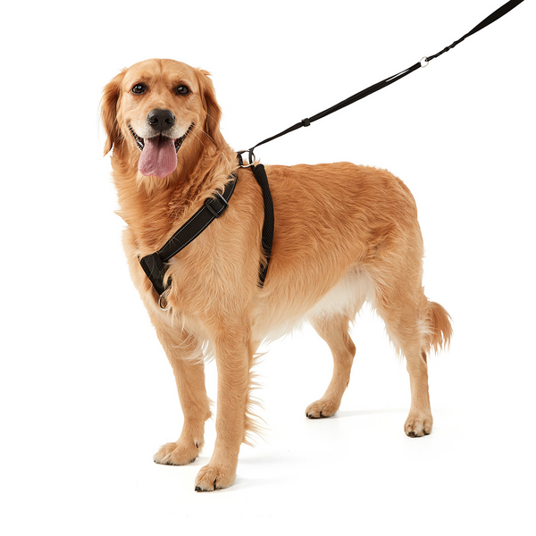 Dog No Pull Harness - Anko | Target Australia