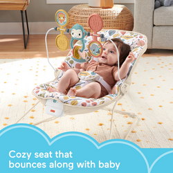 Fisher price baby bouncer clearance australia