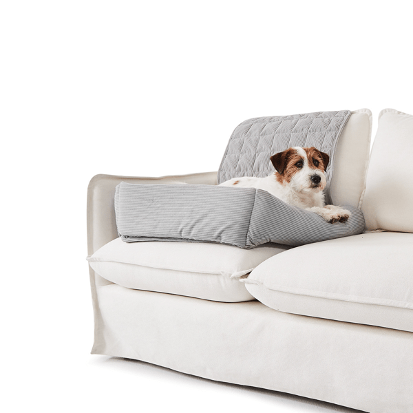 Pet Couch Sofa Covers Target Australia Annabel Trends Ribbed Fur