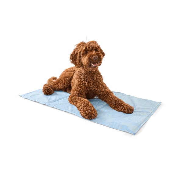 Blanket Aldi Cooling Mat For Dogs Coleman Comfort Cooling Gel Pet