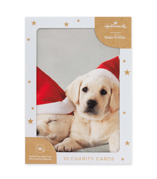 Hallmark 10 Pack Christmas Cards Puppies & Kitten Target Australia