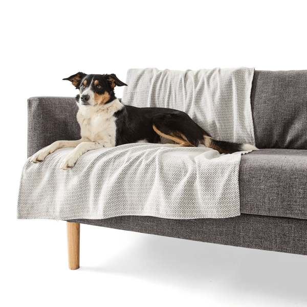 Sofa Furniture Couch Cushion Covers Target Sofa Furniture Sofa - Main Image