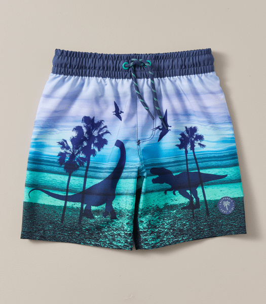 Graphic Dinosaur Print Swim Boardshorts Target Australia