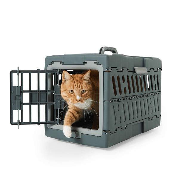 Collapsible Pet Carrier Anko Target Australia