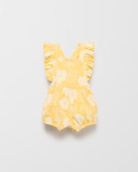 Yellow Hibiscus