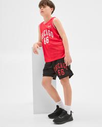 Chicago Bulls