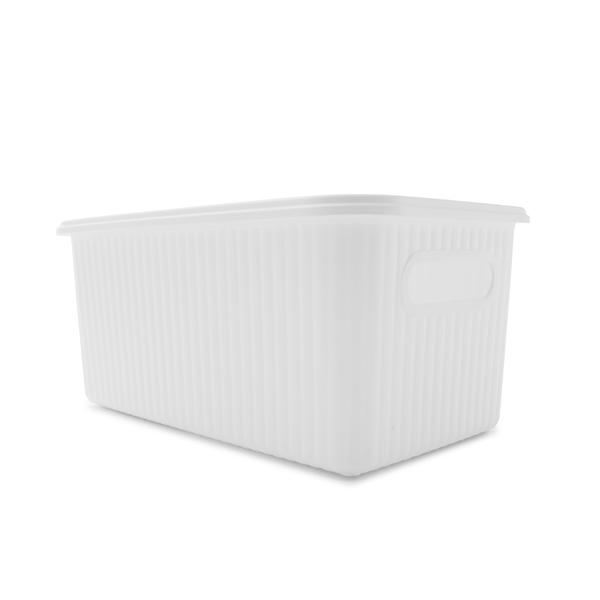 Tp Container 5l 5L Ribbed Container - Anko | Target Australia