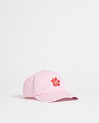 Pink Hibiscus
