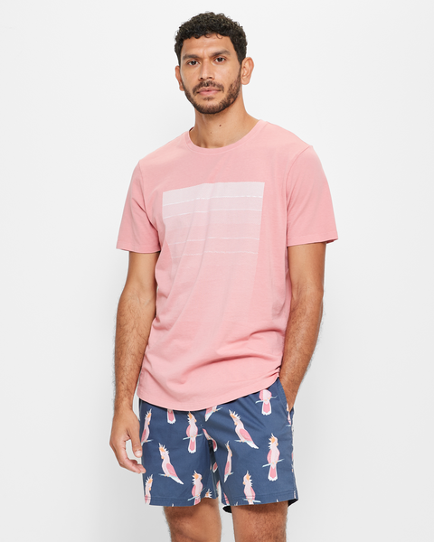 Printed T-Shirt | Target Australia