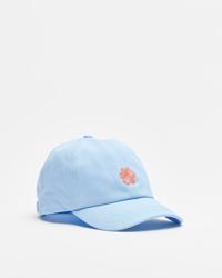 Blue Hibiscus