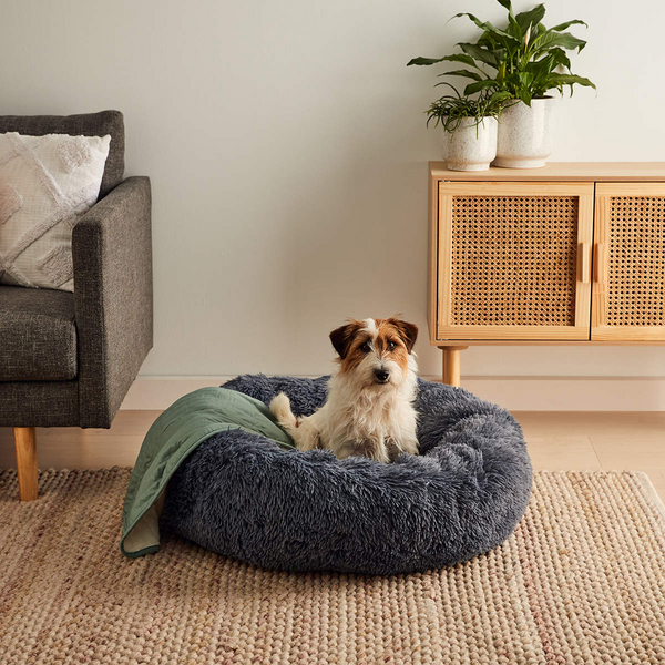 Pet Comfort Bed - Anko | Target Australia