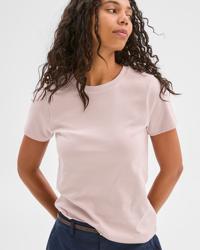 Apricot / Pink
