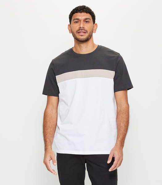 Panel T-Shirt | Target Australia