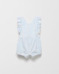 Blue Vertical Stripe
