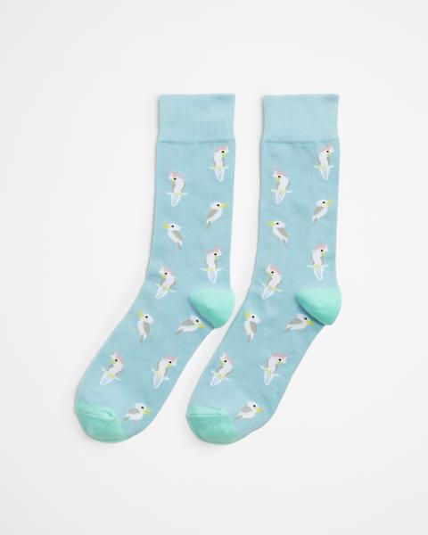 Maxx Crew Socks Target Australia