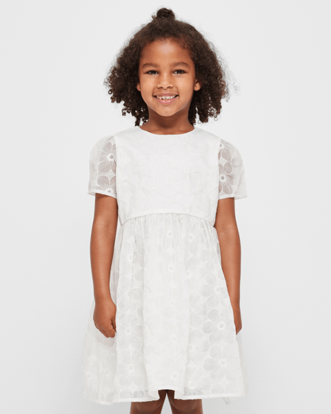 Embroidered Floral Dress Target Australia