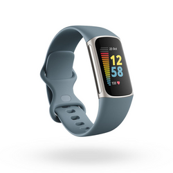 Fitbit Charge 5 - Steel Blue | Target Australia