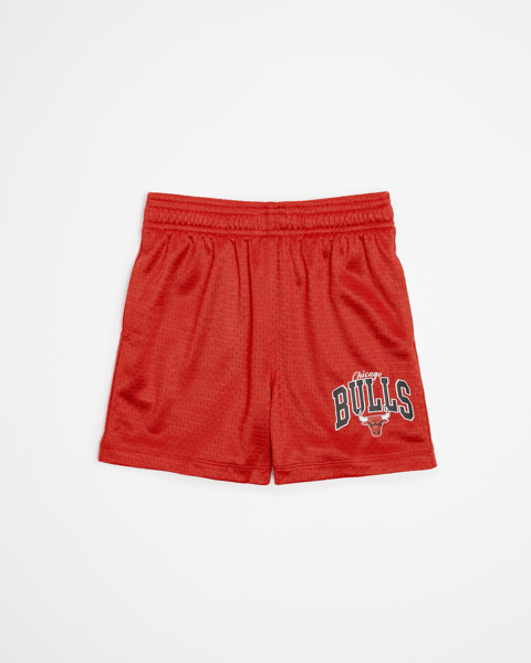 Chicago Bulls Mesh Basketball Shorts Target Australia