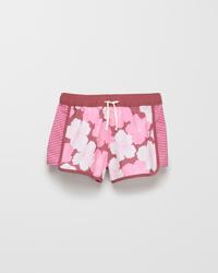 Pink Hibiscus