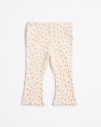 Cream Daisy