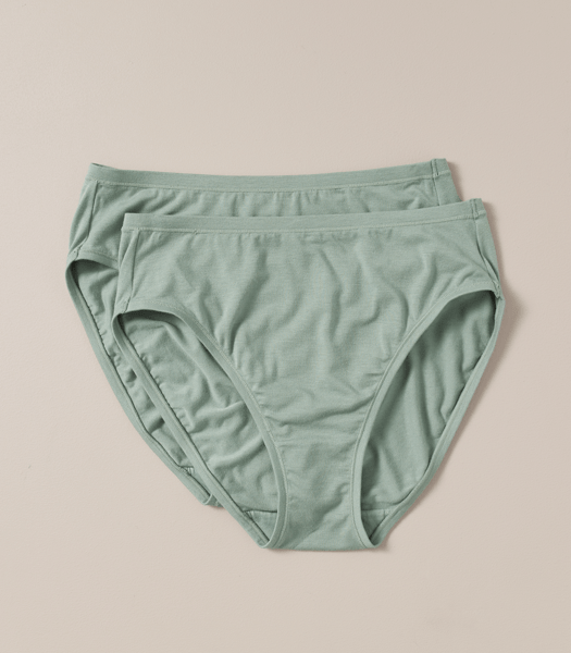 2 Pack Bamboo High Cut Briefs; Style LHF12987 Target Australia