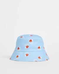Sail Boats