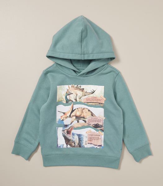 Dinosaur hoodie cheap target