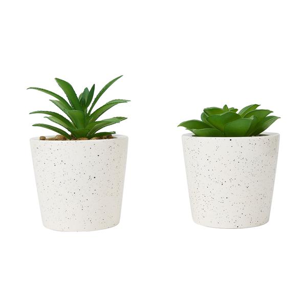 Artificial Succulent, Assorted Anko Target Australia