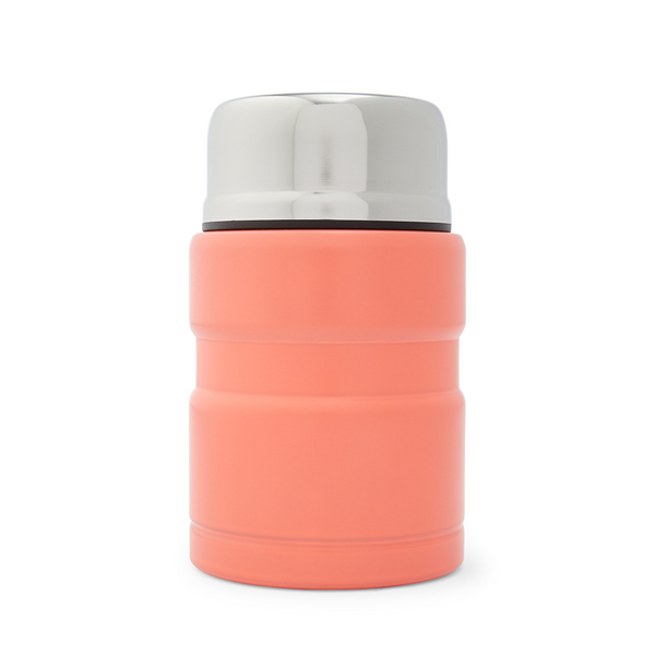 Soup store thermos kmart