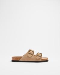 Taupe