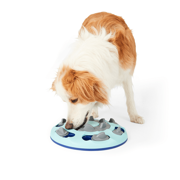 Pet Treat Puzzle Toy Anko Target Australia