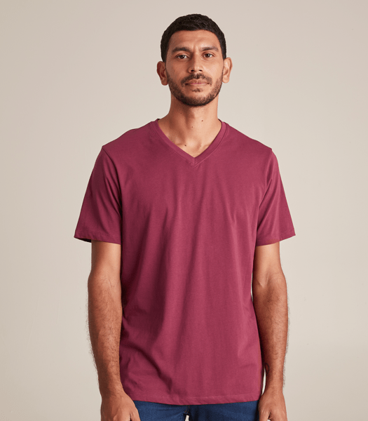 Organic Cotton V-Neck T-Shirt | Target Australia