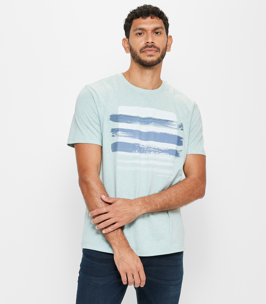 Mens Printed T-Shirt | Target Australia