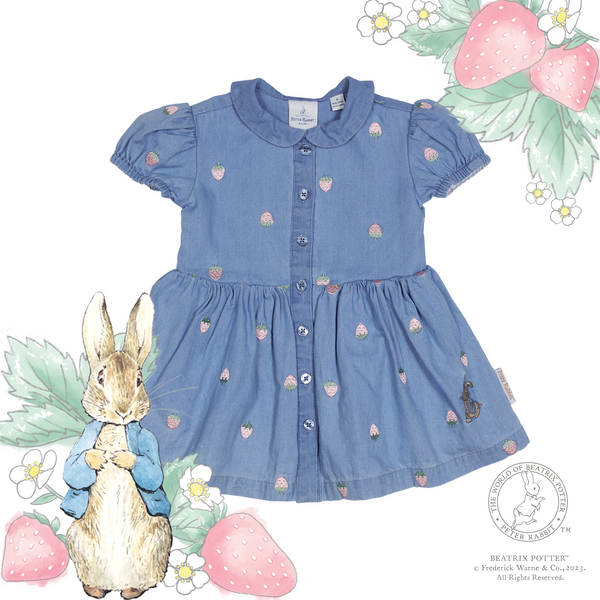 Peter Rabbit Baby Dress | Target Australia