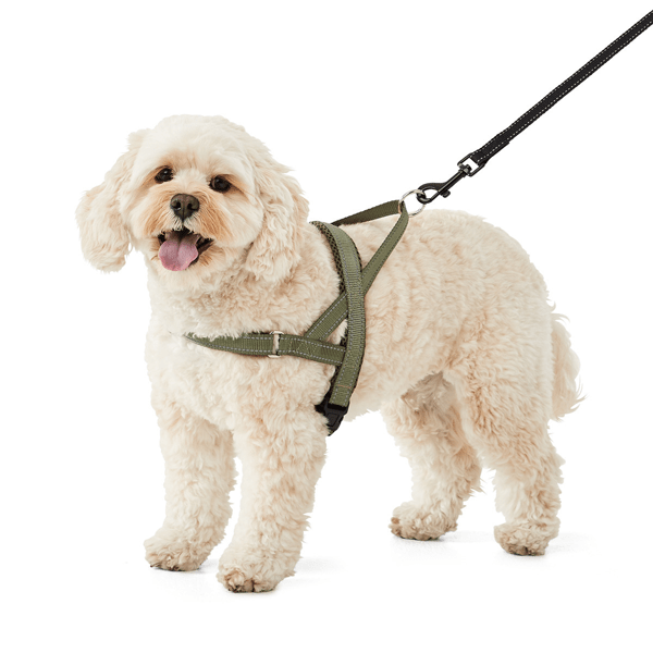 Dog Fast Clip Harness, Medium Anko Target Australia