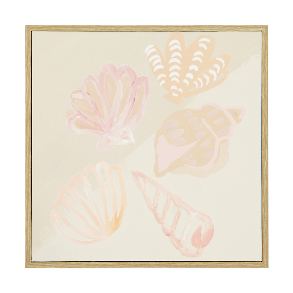 Framed Canvas Sea Shells - Anko | Target Australia
