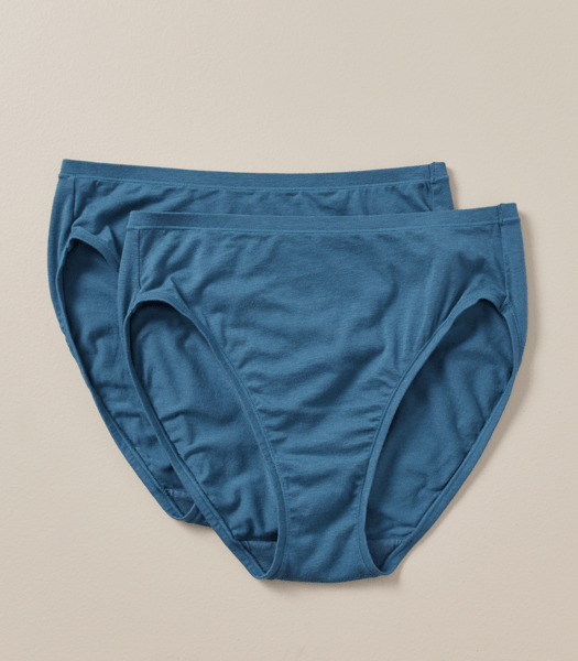 2 Pack Bamboo High Cut Briefs; Style LHF12987 Target Australia