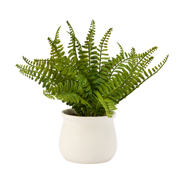 Artificial Fern in Pot - Anko | Target Australia